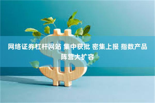 网络证券杠杆网站 集中获批 密集上报 指数产品阵营大扩容