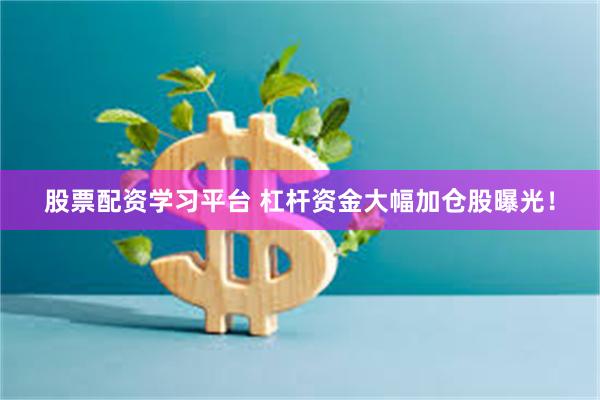股票配资学习平台 杠杆资金大幅加仓股曝光！