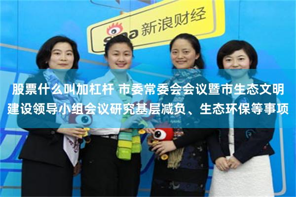 股票什么叫加杠杆 市委常委会会议暨市生态文明建设领导小组会议研究基层减负、生态环保等事项