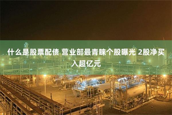 什么是股票配债 营业部最青睐个股曝光 2股净买入超亿元
