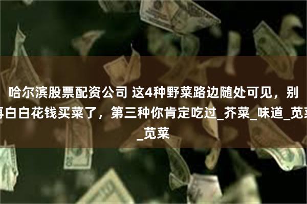 哈尔滨股票配资公司 这4种野菜路边随处可见，别再白白花钱买菜了，第三种你肯定吃过_芥菜_味道_苋菜